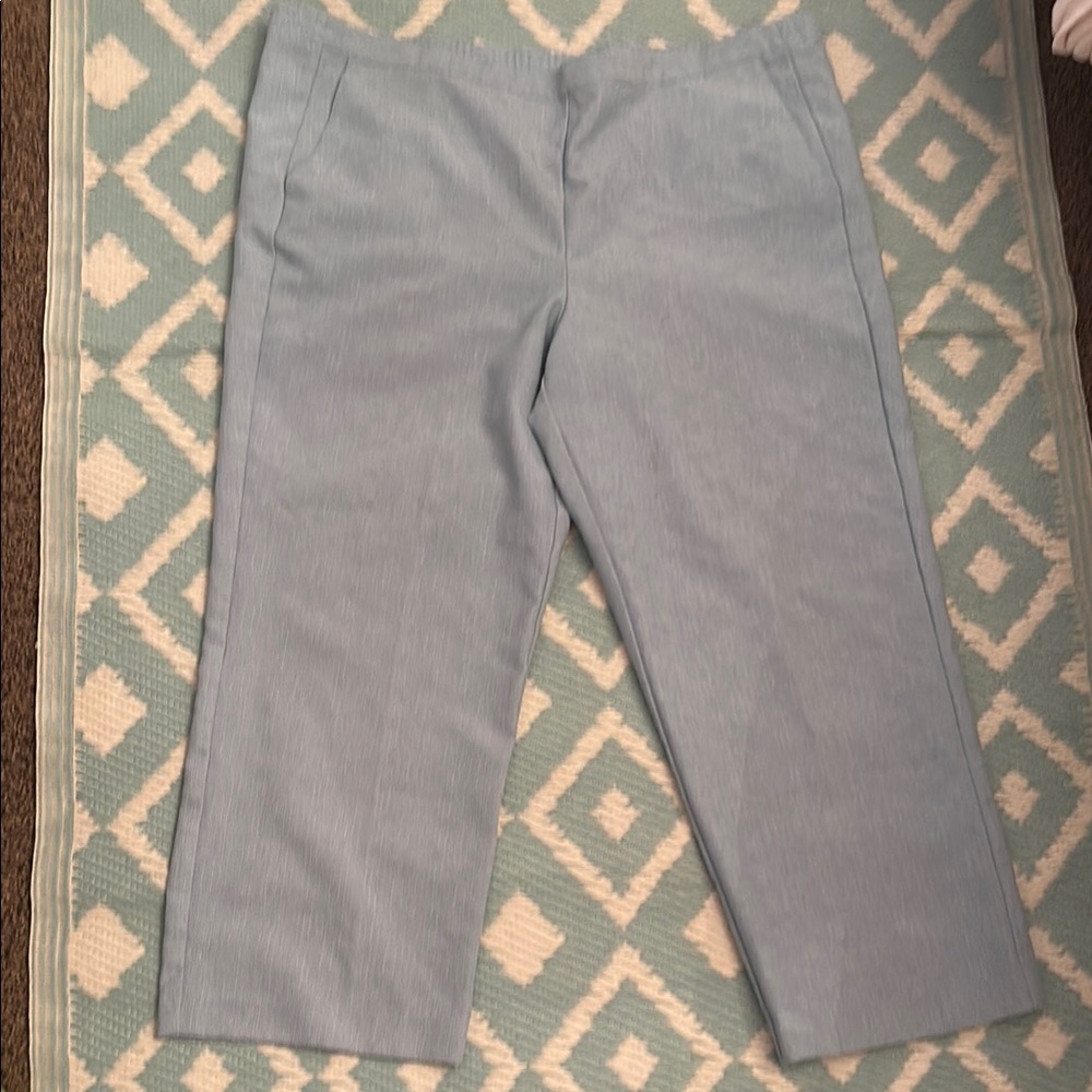 Alfred Dunner Light Blue Pants 18P